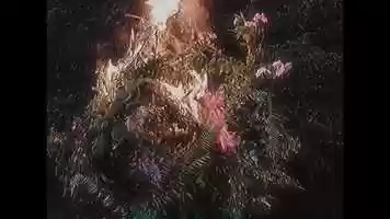 Free download Spiritbox   Holy Roller (Official Music Video) video and edit with RedcoolMedia movie maker MovieStudio video editor online and AudioStudio audio editor onlin