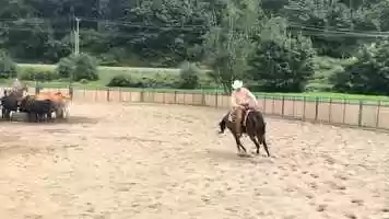 Free download Spoonful of Boon video and edit with RedcoolMedia movie maker MovieStudio video editor online and AudioStudio audio editor onlin