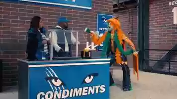 Free download Sports Fan video and edit with RedcoolMedia movie maker MovieStudio video editor online and AudioStudio audio editor onlin