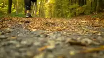 Free download Sport Trailer Produktion  Intelligent Sports video and edit with RedcoolMedia movie maker MovieStudio video editor online and AudioStudio audio editor onlin