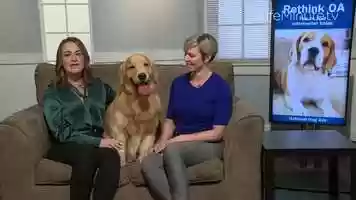 Free download Spot the Signs of Canine Osteoarthritis in Your Dog video and edit with RedcoolMedia movie maker MovieStudio video editor online and AudioStudio audio editor onlin