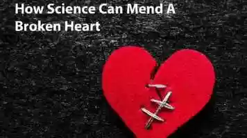 Free download Spread the Word, thanks a lot! video and edit with RedcoolMedia movie maker MovieStudio video editor online and AudioStudio audio editor onlin