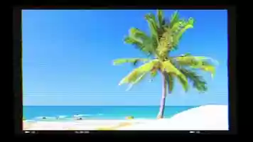Free download Spring Has Sprung video and edit with RedcoolMedia movie maker MovieStudio video editor online and AudioStudio audio editor onlin