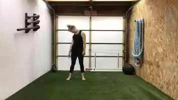 Free download Standing Ragdoll video and edit with RedcoolMedia movie maker MovieStudio video editor online and AudioStudio audio editor onlin