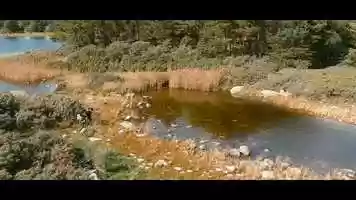 Free download Stanislaw Zoladz Watercolor - Intro video and edit with RedcoolMedia movie maker MovieStudio video editor online and AudioStudio audio editor onlin