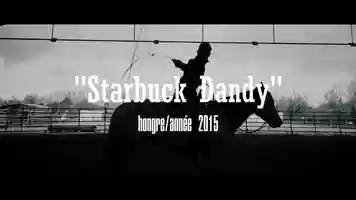 Free download Starbuck Dandy video and edit with RedcoolMedia movie maker MovieStudio video editor online and AudioStudio audio editor onlin