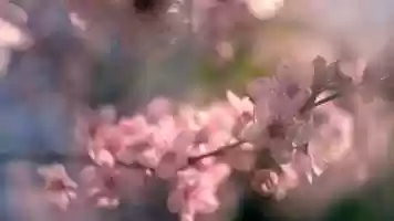 Free download Starbucks - Store in Season Case Film video and edit with RedcoolMedia movie maker MovieStudio video editor online and AudioStudio audio editor onlin