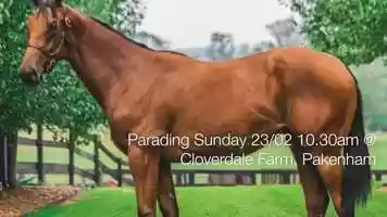 Free download Star Witness filly with Michelle Payne video and edit with RedcoolMedia movie maker MovieStudio video editor online and AudioStudio audio editor onlin