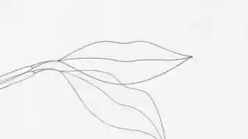 Free download Stefanie Schrank - Möbiusschleife video and edit with RedcoolMedia movie maker MovieStudio video editor online and AudioStudio audio editor onlin