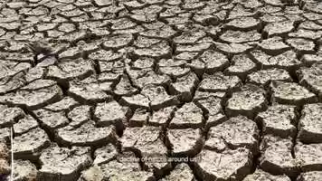 Free download Step-change solutions for a planetary emergency - 30s - Trailer video and edit with RedcoolMedia movie maker MovieStudio video editor online and AudioStudio audio editor onlin