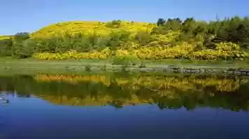 Free download Stillness Service for 8th July 2020 video and edit with RedcoolMedia movie maker MovieStudio video editor online and AudioStudio audio editor onlin