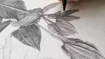 Free download Stippling Process - Ryan Allen video and edit with RedcoolMedia movie maker MovieStudio video editor online and AudioStudio audio editor onlin