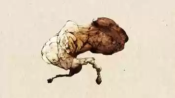 Free download Stiro animado video and edit with RedcoolMedia movie maker MovieStudio video editor online and AudioStudio audio editor onlin