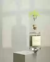 Free download Stockholms Brnneri - Akvavit video and edit with RedcoolMedia movie maker MovieStudio video editor online and AudioStudio audio editor onlin