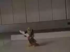 Free download Stop Frame Animation video and edit with RedcoolMedia movie maker MovieStudio video editor online and AudioStudio audio editor onlin