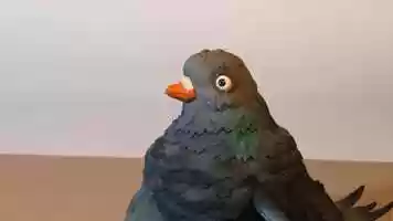 Free download Stop-motion animation - Embarrassed pigeon video and edit with RedcoolMedia movie maker MovieStudio video editor online and AudioStudio audio editor onlin