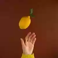 Free download Stop motion animation of the Ginger and Lemon candle video and edit with RedcoolMedia movie maker MovieStudio video editor online and AudioStudio audio editor onlin