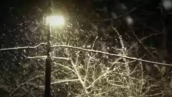 Free download Streetlight In Winter Stock Video video and edit with RedcoolMedia movie maker MovieStudio video editor online and AudioStudio audio editor onlin