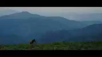 Free download Studies of Solemnity video and edit with RedcoolMedia movie maker MovieStudio video editor online and AudioStudio audio editor onlin