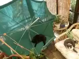 Free download Studio Green Key test video and edit with RedcoolMedia movie maker MovieStudio video editor online and AudioStudio audio editor onlin