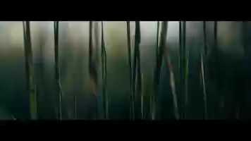 Free download Summer Walks video and edit with RedcoolMedia movie maker MovieStudio video editor online and AudioStudio audio editor onlin