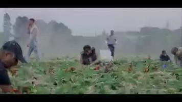 Free download Sunny Life Farm - Trailer video and edit with RedcoolMedia movie maker MovieStudio video editor online and AudioStudio audio editor onlin