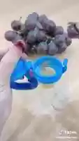 Free download Sunshine Life Baby Fruiter Pacifier video and edit with RedcoolMedia movie maker MovieStudio video editor online and AudioStudio audio editor onlin