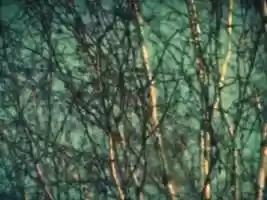 Free download Super 8 Film: Peter Broderick, Earnest Leslye | Expired Kodak 7242 video and edit with RedcoolMedia movie maker MovieStudio video editor online and AudioStudio audio editor onlin