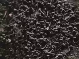 Free download Super 8 - Pumpkin-C Reversal developer, expired Kodak Tri-x 7266 video and edit with RedcoolMedia movie maker MovieStudio video editor online and AudioStudio audio editor onlin