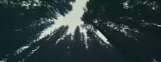 Free download Super secret animation - preview video and edit with RedcoolMedia movie maker MovieStudio video editor online and AudioStudio audio editor onlin