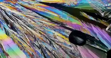 Free download Surrogate video and edit with RedcoolMedia movie maker MovieStudio video editor online and AudioStudio audio editor onlin