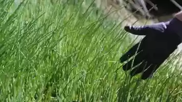 Free download Swan Acoa Landcare Program 2019 video and edit with RedcoolMedia movie maker MovieStudio video editor online and AudioStudio audio editor onlin