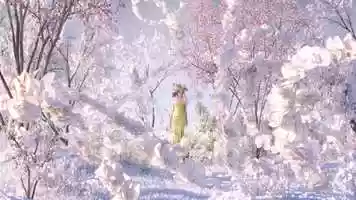 Free download Swarovski X BEAST - 3D Shot video and edit with RedcoolMedia movie maker MovieStudio video editor online and AudioStudio audio editor onlin