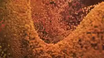Free download SWIRL - 4K 3D Abstract Art Animation (Houdini / Redshift) video and edit with RedcoolMedia movie maker MovieStudio video editor online and AudioStudio audio editor onlin