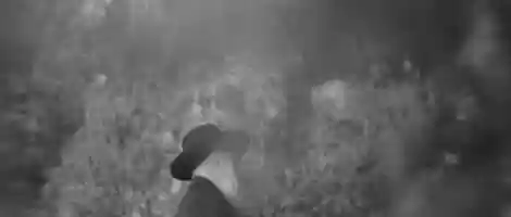 Free download SYMPATHETIC VIBRATION (ALTERNATE BW VERSION) video and edit with RedcoolMedia movie maker MovieStudio video editor online and AudioStudio audio editor onlin