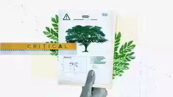 Free download Syngenta - Saving Singapores Rain Trees video and edit with RedcoolMedia movie maker MovieStudio video editor online and AudioStudio audio editor onlin