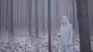 Free download Tallpall-Among the trees video and edit with RedcoolMedia movie maker MovieStudio video editor online and AudioStudio audio editor onlin