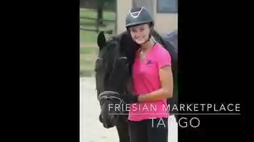 Free download Tango video and edit with RedcoolMedia movie maker MovieStudio video editor online and AudioStudio audio editor onlin