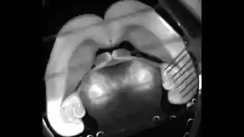 Free download Tasso Movie_4x speed.mp4 video and edit with RedcoolMedia movie maker MovieStudio video editor online and AudioStudio audio editor onlin