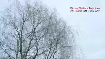 Free download TDRU 3340 Michael Chekhov Technique Ragnar video and edit with RedcoolMedia movie maker MovieStudio video editor online and AudioStudio audio editor onlin