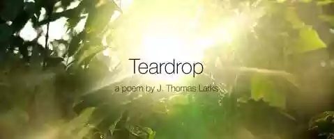 Free download TEARDROP video and edit with RedcoolMedia movie maker MovieStudio video editor online and AudioStudio audio editor onlin