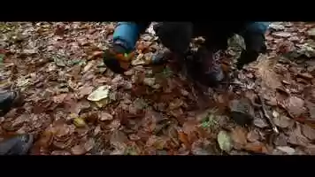 Free download TEASER-HD-RPG.mp4 video and edit with RedcoolMedia movie maker MovieStudio video editor online and AudioStudio audio editor onlin