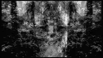 Free download Teaser: THE BREATHING FOREST video and edit with RedcoolMedia movie maker MovieStudio video editor online and AudioStudio audio editor onlin