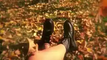 Free download technicolour beat music video (directed by G. Taylor) video and edit with RedcoolMedia movie maker MovieStudio video editor online and AudioStudio audio editor onlin