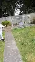 Free download tennis-backhand-hitting-the-ball video and edit with RedcoolMedia movie maker MovieStudio video editor online and AudioStudio audio editor onlin