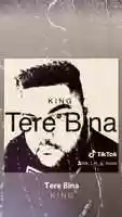 Free download Tere Bina streaming on all platforms, see links in the description box below� video and edit with RedcoolMedia movie maker MovieStudio video editor online and AudioStudio audio editor onlin