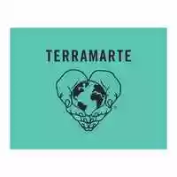 Free download TERRAMARTE LOGO video and edit with RedcoolMedia movie maker MovieStudio video editor online and AudioStudio audio editor onlin