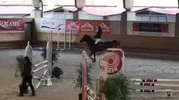 Free download Tess in Action video and edit with RedcoolMedia movie maker MovieStudio video editor online and AudioStudio audio editor onlin