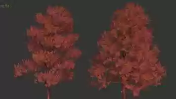 Free download Test of improved wind animation in GrowFX SP9 video and edit with RedcoolMedia movie maker MovieStudio video editor online and AudioStudio audio editor onlin