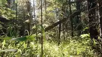 Free download TGC Introduction video and edit with RedcoolMedia movie maker MovieStudio video editor online and AudioStudio audio editor onlin